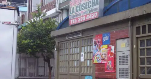SURTIFRUVER LA COSECHA SURTIFRUVER LA COSECHA